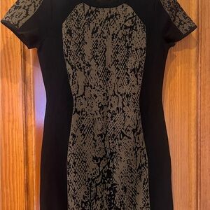 Elegant Black and Brown Snake Print Dress